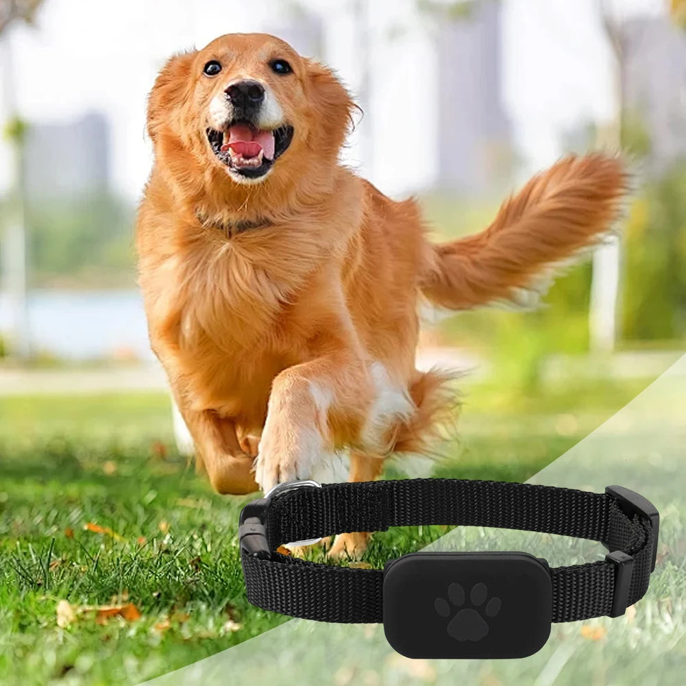 FurFinder Smart Pet Tracker Collar